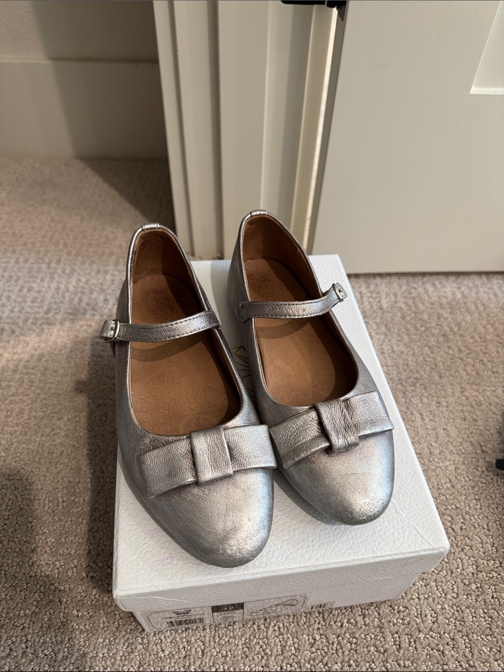 Age of Innocence Girls Metallic Silver Mary Jane Dress Shoes with Bow